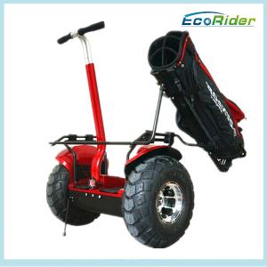China Self Balancing Electric Golf Scooter Segway Outdoor Dual Wheel factory