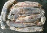 Light Red Frozen Giant Squid Whole Round 1-2kg Dosidicus Gigas