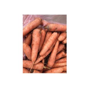 stainless steel onion powder line onion slicing washing drying processing