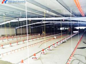 China Automatic Broiler Poultry Equipment Plastic Poultry Farm Feeding System factory