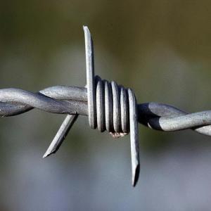 China high quality barbed wire price per roll / galvanized barbed wire mesh stainless steel barb wire fence roll factory