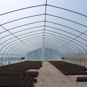 Classic Standard Greenhouse Tunnel Plastic Sheet Covering Vegetable Growth