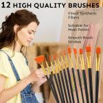 24 Colors 60ml Non Toxic Art Acrylic Paint Kit With 12 Brushes For Painting