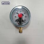 Stainless Steel Silicone Filled Pressure Gauge Bottom Connection 100mm