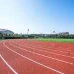 Soundproof Synthetic Sports Flooring Colorful Polyurethane Binder EPDM Rubber