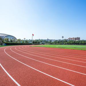 China Soundproof Synthetic Sports Flooring Colorful Polyurethane Binder EPDM Rubber Running Track factory