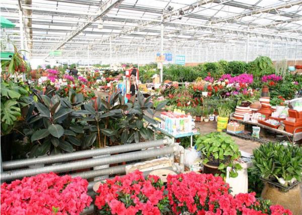 Single Span Ecological Greenhouse , Large Glass Greenhouse Aluminium / Steel