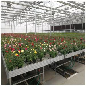 China Ebb Flow Nursery Movable Abs Flood Rolling Bench Grow Table on sale