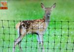 Deer Fence , Deer Fence Netting , For Garden , Hole Size 20mm, 100 Meters Length