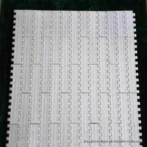 China Pitch 25.4mm 1000 Plastic Modular Conveyor Belt for Transporting factory