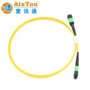 China LC OM MTP MPO Fiber Optic Patch Cord 12F MPO-LC PC MPO Fan Out 0.9Mm Patch Cords factory