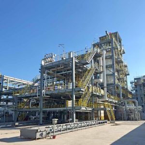 Natural Circulation Incineration Boiler Pump Free Upgrade And Maintenance