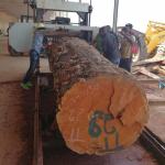 Band Sawmill Woodworking Wood used Cheap Portable Sawmill Wood cutting Saw