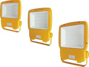 China HRNT95 Series Explosion Proof LED Light Fittings Atex Led Floodlight 5000K factory