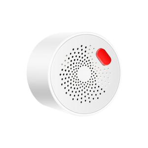 China GR-GS400T-1 WIFI TUYA Gas Detector factory