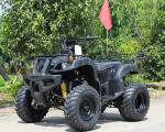 CVT Transmission Youth Racing Atv Air Cooled CDI Ignition