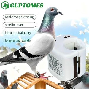 China Type-C Dual Charging Pigeon GPS Tracker GPS+LBS Precise Positioning For Racing Pigeons factory