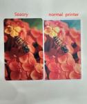 SEAORY S22 300DPI Desktop Double Sided ID Card PVC/Plastic Card Printer