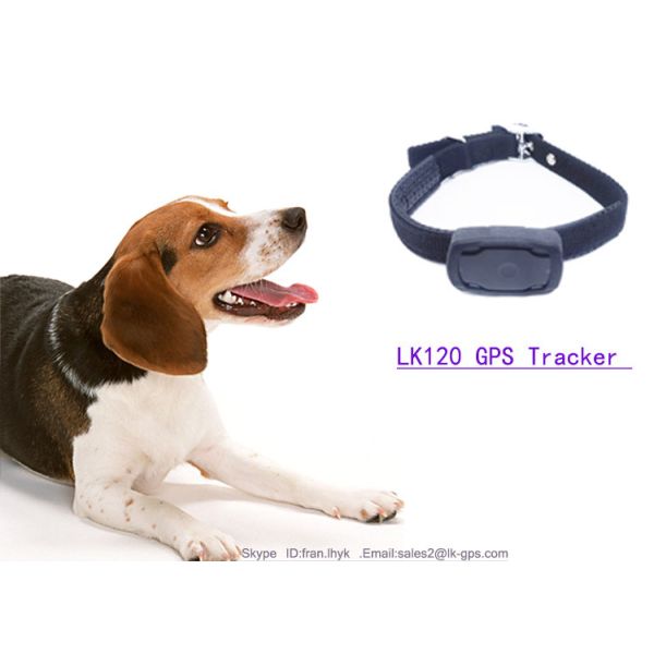 China Real Time GSM Waterproof Gps Tracker Pet With GEO Fence /LED Function LK120 factory