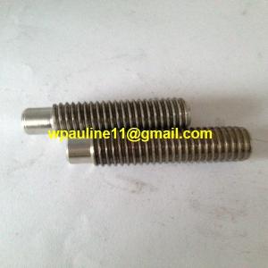 China A193 B8C dog point socket screws AISI347 factory