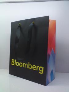 China Customized Design Printed Art Paper Bags, Ribbon Handle Bags factory