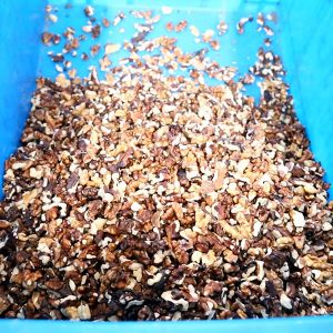 380V Efficient 1 Ton Walnut Shelling Machine With 90% Perfect Kernel Rate Output