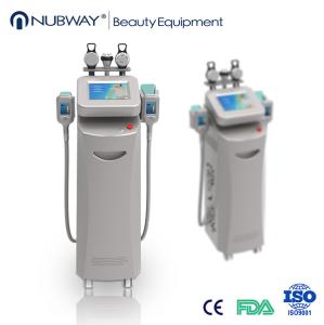 China newest fat freezing machine / cryolipolysis slimming machine /5 handles cryolipolysis mac factory