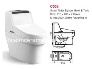 China One Piece 710 X 400 X 710mm Smart Toilet Wall Hung Standing Intelligent Toilet Seat factory
