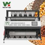 Professional Peanut Color Sorter 5 Chutes Color Sorter Almond Nut Color Sorter