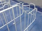 Anti Rust Swine Breeding Equipment For Sow Finishing / Weaning / Farrowing /