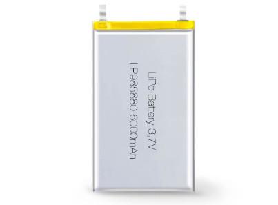 Industrial-Grade LP985880 3.7V 6000MAH Li Ion Battery Manufacturers with 2-3