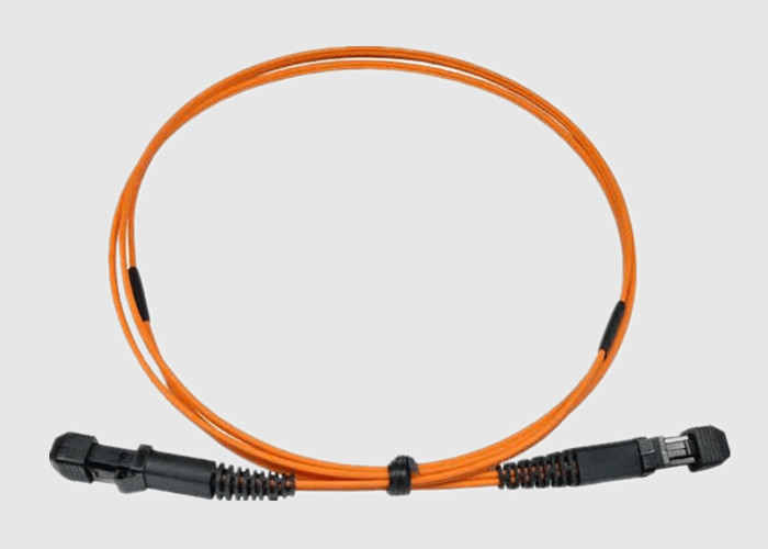 1m 62.5/125 OM1 Dulpex MTRJ-MTRJ Fiber Optic Patch Cord