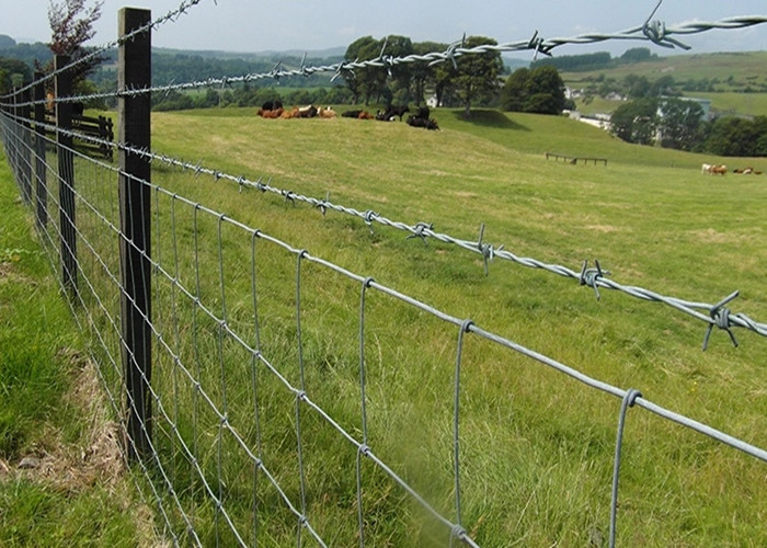 Security 0.4mm PVC Coated SWG8 Coiled Razor Wire