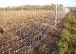 Hinge Joint Fence Field Fence Galvanized Farm Fence Livestock Fence Panels