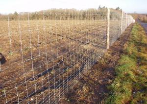 China Hinge Joint Fence Field Fence Galvanized Farm Fence Livestock Fence Panels factory