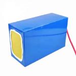 LiFePO4 Golf Cart 24V 50Ah Lithium Ion Battery Pack 2500 Cycles