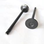 KA24D Machinery Parts Engine Valve For Car Engine Parts 13201-53F02 13202-53F00