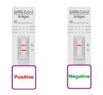 Ag Rapid Saliva Tes Device COVID 19 Antigen Test LgG Home Use Easy Operating