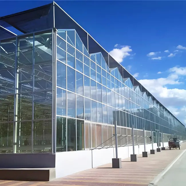 China Hydroponic System Venlo Greenhouse Easy Insulation Commercial Glass Greenhouse factory