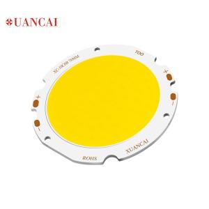 China 6500K 30w 40w 50w US Bridgelux Cob Led For Ceiling Lamp Down Lamp factory