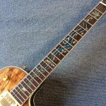 New high-quality custom LP electric guitar, Abalone Dinosaur inlaid fingerboard