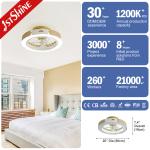 110-240V/50Hz-60Hz Input Voltage Bedroom Indoor Ceiling Fan Light with Remote