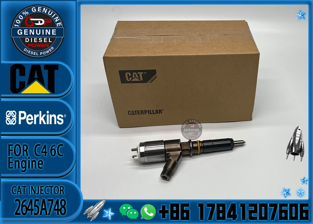 Common rail injector fuel injecto 10R-7675 2645A748 2645A743 320-0670 for C4.2 C6.4 Excavator C4.2 C6.4 320D