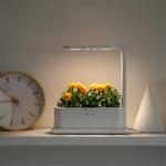 Desktop Grow Box