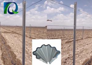 China Heavy Duty Metal Grape Vine Trellis Posts In Iron Pallet Packing Erosion Resistant on sale