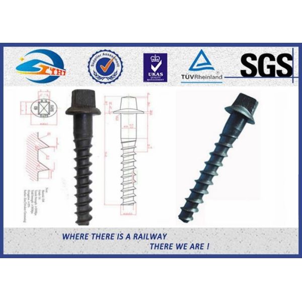 Customized Standard 35# Railroad Screw For Fastening Rail