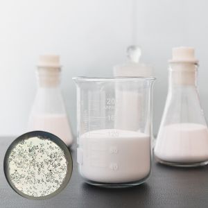 China HN10 Hollow Glass Microspheres for Construction 30-115 µm factory