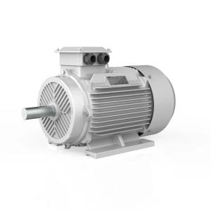 China Iec 34-1 Compact Asynchronous Motor Industrial 0.18-630kw Electric AC 380V factory