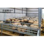 Steel Grade Prefab Livestock Building for Goat/Sheep/Cow/Cattle Cubicles and Pig