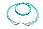 LC To LC Multifiber Fan Out Fiber Optic Cable Patch Cord 2-48F